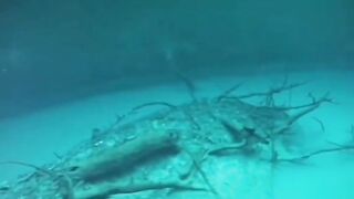Река на дне море интересно ????