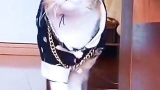 Lovely cat video