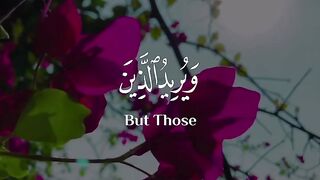 Tilawat