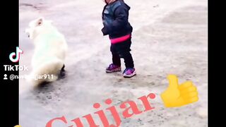 dog and my baby