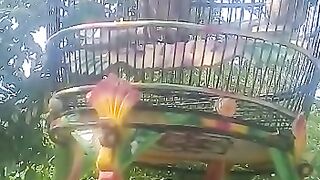 BEAUTIFUL BIRD SOUNDS