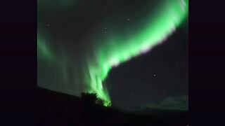 Northern Lights