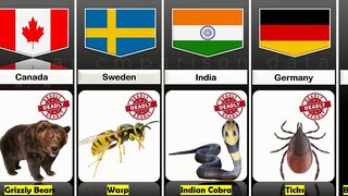 Deadliest_Animals_From_Different_Countries star comparison data