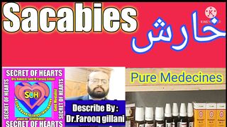 How to get rid of Scabies