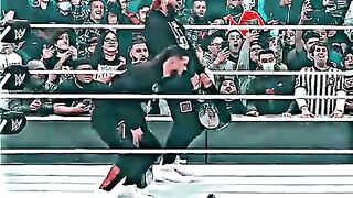 Roman reign fight and brock lesnar save person #febspot #viral