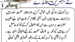 Hareer k fiady | benefit of hareer
