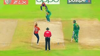 Cricket