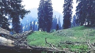 My village