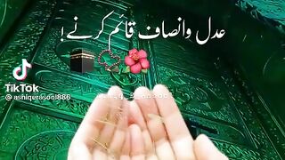 Dua clip