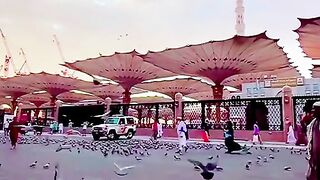 Islamic
