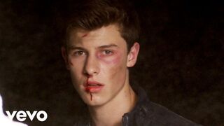 Shawn-Mendes-Stitches-Official-Music-Vid_11.