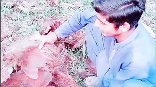 Tree video part 4 | comedian video| entertainment video | funny video