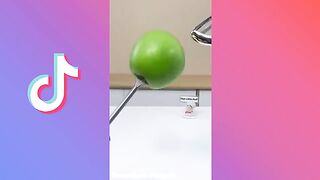 Cats Make Food That Little Puff TikTok Compilation