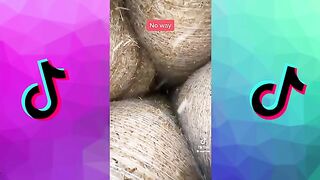 Tik Toks I Was Caught Watching at 3AM ????????