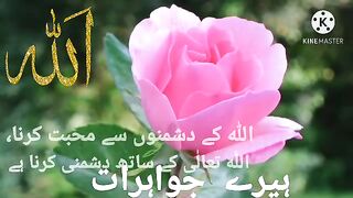 Nake bkhte kon/beautiful sentence