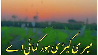 Punjabi shyeri