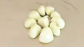 The little Puff Interesting Funny Cat Video