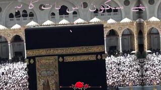 Beshak shukar allhumdulillah Allah
