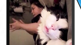 Yang satu sakit jiwa, yang satu kehilangan jiwa