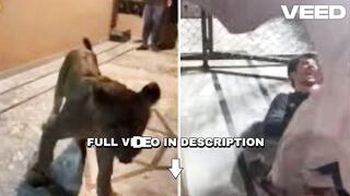 Original leoa joao pessoa zacarias leoa joao pessoa portal do zacarias joao pessoa