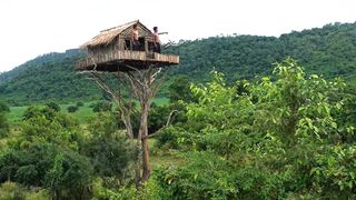 How To Build House On The Tree 12m And Swimming Pool
