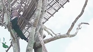 How To Build House On The Tree survival bushcraft camping shorts