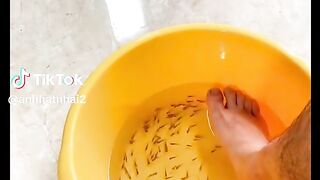 crystal palace vs man united