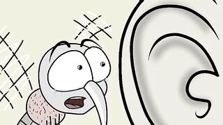 Funny vidéo