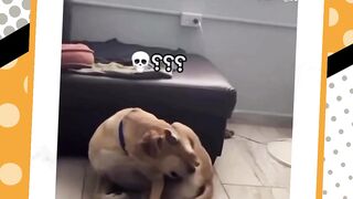 POV Jomblo Dimalam Minggu