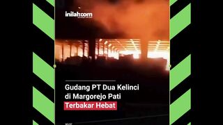 pabrik 2 kelinci