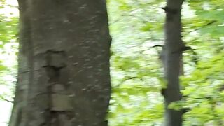 Beautiful nature
