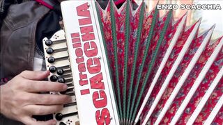 Um grande acordionista fantastico artista