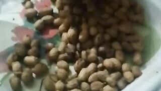 Peanuts