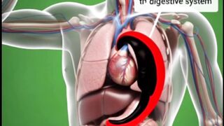 What is the effect of the poison inside your body.