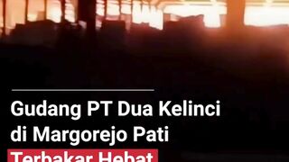 BREAKING NEWS  Gudang Pabrik Dua Kelinci Terbakar