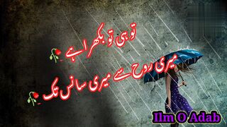 Romantic Urdu shayari music k sat