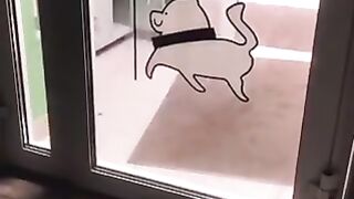 Смешные видео