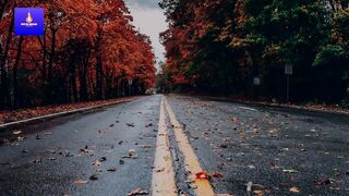 EARLY MORNING Motivational Video Vision Your Time M11 2022.