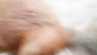 Squirrel ????️ open the walnut