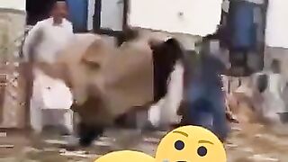Ya ka daram bazy ha