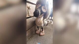 THE MOST AMAZING MOMENTS CAPTURED ON CAMERA