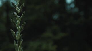 SHE KNOWS - Horror Short Film