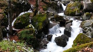 Beautiful water fall for beauty lovers.
