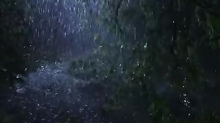 Listen Sleep Immediately with Heavy Downpour Rain Massive Thunder Sounds in Rainforest at Night