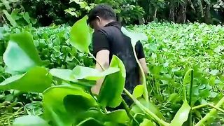 Bangladeshi farmers innovation