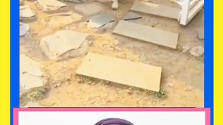 اسکول کا وقت ہو گیا ہے جلدی جلدی چلو شاباش