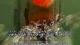 His voice creates peace in the afternoon.