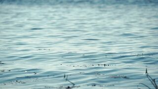 Summer sketches on the Volga