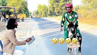 Village Comedy Moment