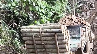 The Unstoppable Beast Watch This 4x4 Haul an IMPOSSIBLE Log Load Up a Jungle Hill!